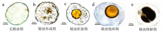 圖2無標(biāo)題.jpg